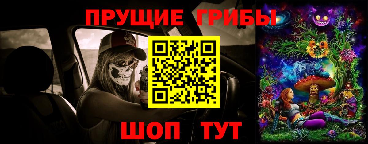 Жигулёвск  Галлюциногенные грибы Cubensis  Вход с VPN 